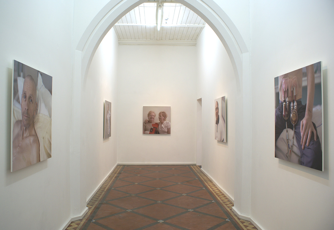 Transplant installation, The Nunnery Gallery, London, 2008