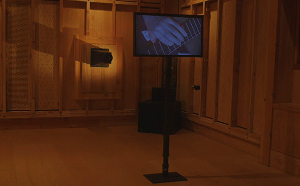 Nocturnal installation